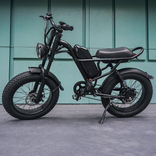 Sunpie 20 inch 48V 15.6A 500W Fat Tire Electric Bikes for Adults - Z8