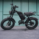 Sunpie 20 inch 48V 15.6A 500W Fat Tire Electric Bikes for Adults - Z8