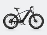 iDeal Velowave Ranger Fat Tire Electric Bike - VWFMTB3BG4-old1