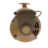 Taco Circulator Pump 1/8 HP 115V Stainless Steel - 111-8S