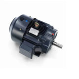 Marathon GT1025A 20hp 1768rpm 230/460v256T TEFC - GT1025A
