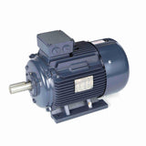 Marathon Motors MR340A R340A General Purpose IEC Motor - MR340A