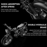 Sunpie 20 inch 48V 15.6A 500W Fat Tire Electric Bikes for Adults - Z8