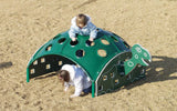 iDeal Turtle Climber