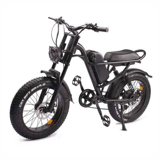 Sunpie 20 inch 48V 15.6A 500W Fat Tire Electric Bikes for Adults - Z8