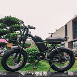 Sunpie 20 inch 48V 15.6A 500W Fat Tire Electric Bikes for Adults - Z8