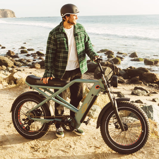 Retrospec Grateful Dead Valen Rev+ Fat Tire Electric Bike - 6478
