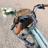 Bluejay Premiere Lite - Mint Green Electric Bike -BKLT24-SMMTG