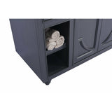 Laviva Odyssey 48" Vanity - 313613-48G