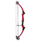 Genesis Archery Compound Bow Adjustable Sizing for Right Handed, Red (4 Pack) - 323624