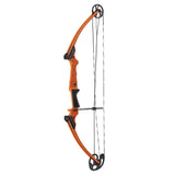 Genesis Archery Original Left Hand Compound Bow Kit w/Arrows & Quiver (2 Pack) - 323650
