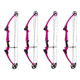 Genesis Archery Compound Bow Adjustable Sizing for Right Handed, Purple (4 Pack) - 323668