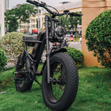 Sunpie 20 inch 48V 15.6A 500W Fat Tire Electric Bikes for Adults - Z8