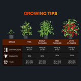Spider Farmer® 4’x4’x6.5′ Complete Grow Tent Kit丨G5000 Full Spectrum LED Grow Light丨6” Clip Fan