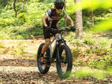 iDeal Velowave Ranger Fat Tire Electric Bike - VWFMTB3BG4-old1