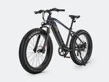 iDeal Velowave Ranger Fat Tire Electric Bike - VWFMTB3BG4-old1