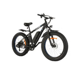 Ancheer Fat Tire Electric Bike - SKU_1738865942914_790