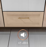 CAFE Café(TM) ENERGY STAR Smart Single Drawer Dishwasher - CDD220P2WS1-KT