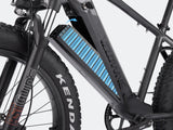 iDeal Velowave Ranger Fat Tire Electric Bike - VWFMTB3BG4-old1