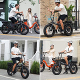 Sunpie Straight Rods Electric Bike, 36V 10Ah 500W Motor 20''x4.0 Fat Tire 25 Mph 7 Speed Shifter Removable Lithium-ion Battery - EG-YX01