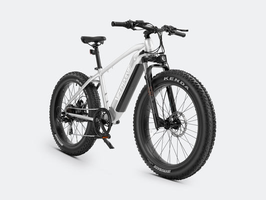iDeal Velowave Ranger Fat Tire Electric Bike - VWFMTB3BG4-old1