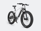 iDeal Velowave Ranger Fat Tire Electric Bike - VWFMTB3BG4-old1