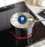 GE APPLIANCES GRS600AVFS GE(R) 30" Slide-In Electric Convection Range with No Preheat Air Fry and EasyWash(TM) Oven Tray - GRS600AVFS-KT