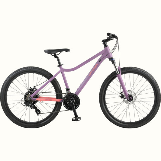 Retrospec Ascent 26" Mountain Bike - Step Through 21 Speed - 3949