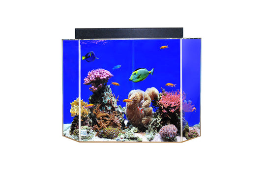 ADVANCE AQUA TANKS Clear for Life Acrylic UniQuarium Pentagon Aquarium - 50 Gallon