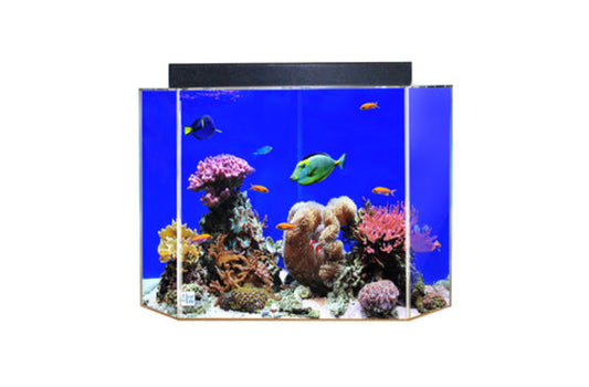 ADVANCE AQUA TANKS Clear for Life Acrylic Pentagon Aquarium - 30 Gallon