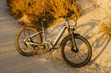 VTUVIA CMB Step Thru Electric Bike - v-cmb-pro-10-silver
