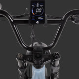 Retrospec Grateful Dead Valen Rev+ Fat Tire Electric Bike - 6478