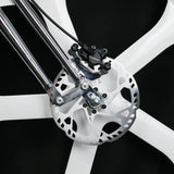 Tracer 800W 48V Raptor Pro DS Chopper Stretch Cruiser Fat Tire Electric Bike - EB-MB-RAPTOR PRO DS-WHI/WHI