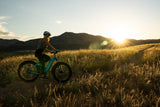 Troxus 750W 26" Explorer Step-Thru Fat Tire Electric Bike  - EB-TX-EXPL-ST-BLK