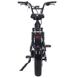 Troxus 750W 20" Lynx Step-Thru Fat Tire Electric Bike - EB-TX-LYNX-BLK
