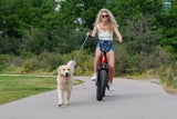 Troxus 750W 20" Lynx Step-Thru Fat Tire Electric Bike - EB-TX-LYNX-BLK