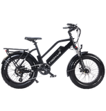 Troxus 750W 20" Skyhopper Fat Tire Electric Bike - EB-TX-SKY