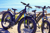 Troxus 750W 26" Vulcanus Fat Tire Electric Bike - EB-TX-VULC