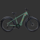 Retrospec Grateful Dead Koa Rev+ 2 Fat Tire Electric Bike - 6479