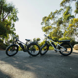 Kingbull Hunter | Mountain Fat Tire Electric Bike - KHT-WHITE