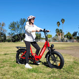Kingbull Literider | All Terrain Folding Electric Fat Bike - KLR-BLACK