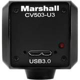 Marshall Electronics CV503-U3 USB 3.0 Miniature POV Camera - CV503U3