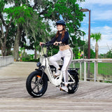 Kingbull Literider | All-Terrain Folding Electric Fat Bike - KLR-GZWHITE