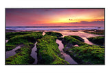 Samsung QB50B 50" UHD 4K Commercial Display - QB50B