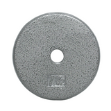 USA Sports by Troy 1" Gray Weight Plate -R-001