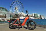 Young Electric E-Flow 750W Folding eBike | 20'' All-terrain Fat Tire With 48V20Ah BAFANG Battery, Up to 90 Miles, 28 MPH - 12803020DB