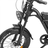 Sunpie 20 inch 48V 15.6A 500W Fat Tire Electric Bikes for Adults - Z8
