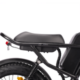 Sunpie 20 inch 48V 15.6A 500W Fat Tire Electric Bikes for Adults - Z8