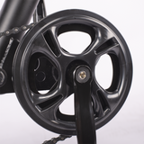 Sunpie 20 inch 48V 15.6A 500W Fat Tire Electric Bikes for Adults - Z8