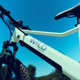 Bluejay WILD - Mint Green Kids Electric Bike - WILDMTG24